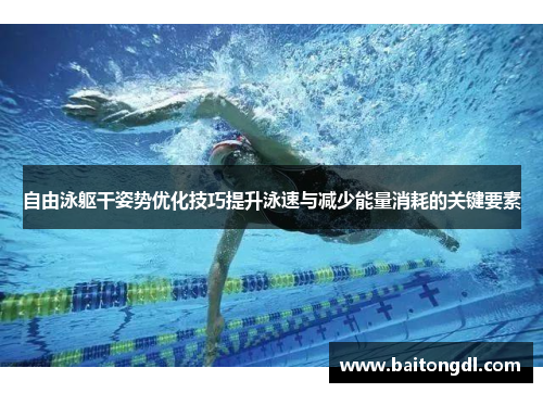 自由泳躯干姿势优化技巧提升泳速与减少能量消耗的关键要素